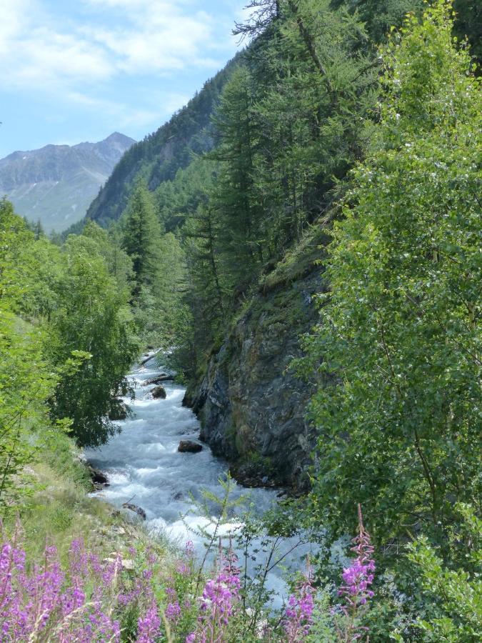 Tranquillite Et Authenticite Au Pied Des Ecrins Apartment Villar-d'Arene ภายนอก รูปภาพ